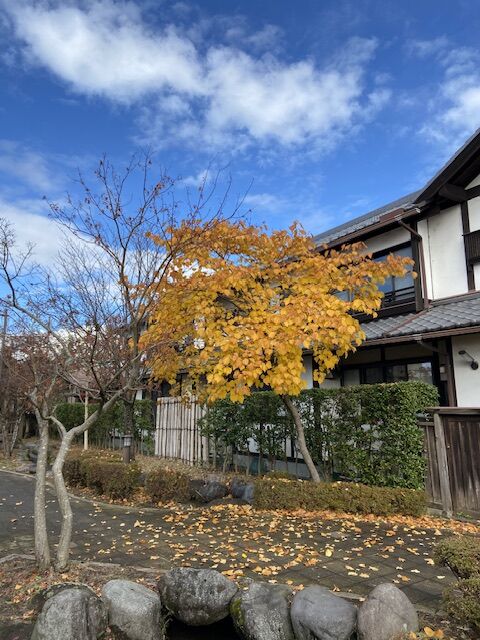 着物リメイクazuの初チャレンジ！東京着物リメイク azu