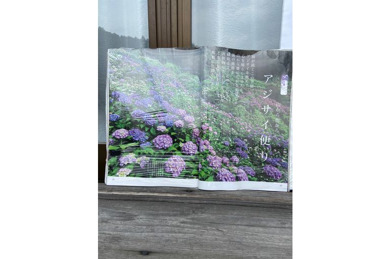 あじさい屋敷