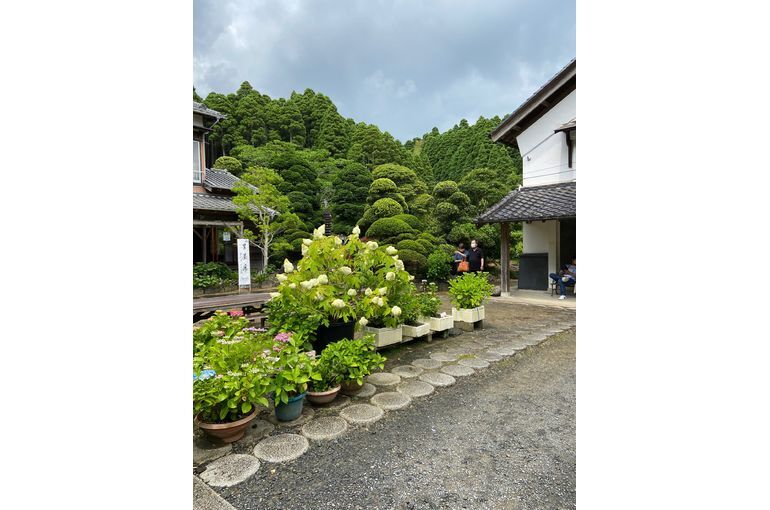 あじさい屋敷