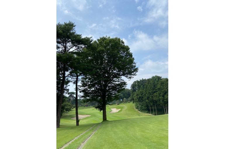 ゴルフ場景色