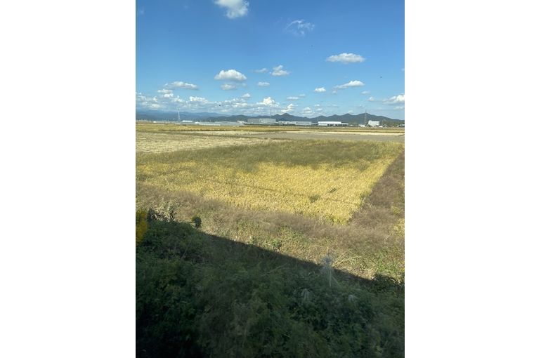 電車風景