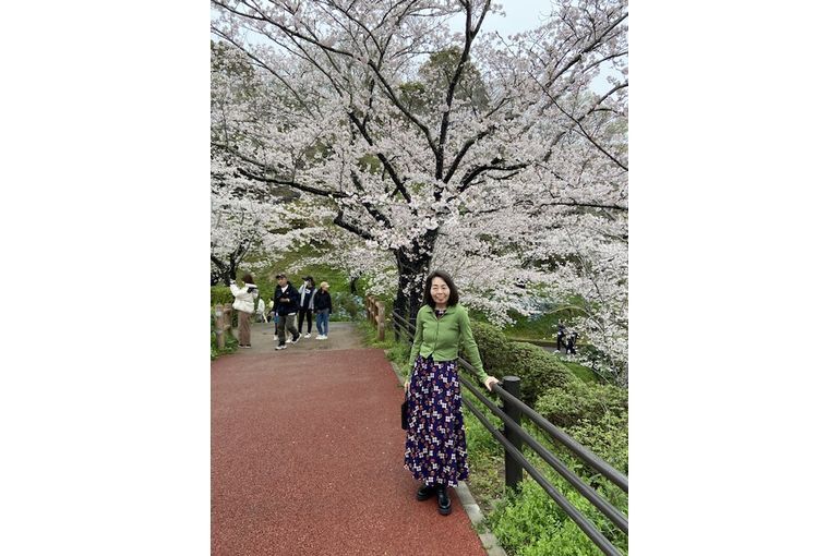 お花見スタイル