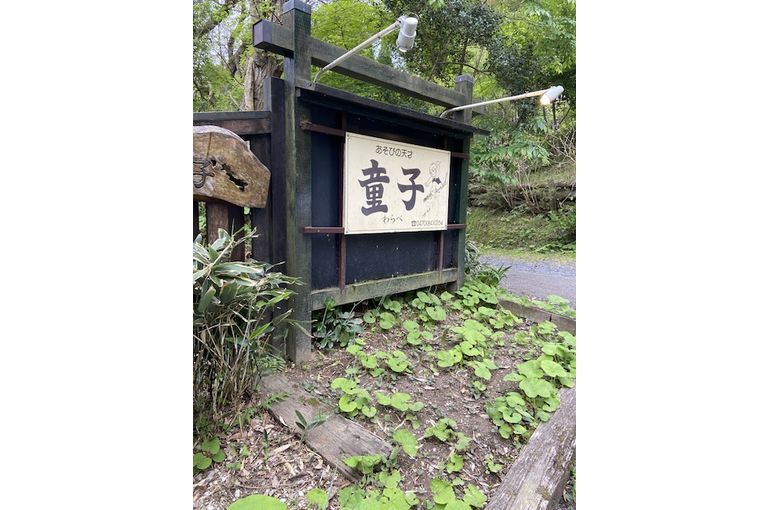 筍料理お店